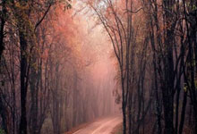 什么是足球里的马德里式浪漫？