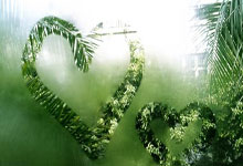 巴利亚多利德vs西班牙人实时比分是多少？这场比赛有哪些关键看点？